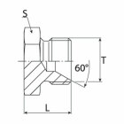 hg24-schema.jpg